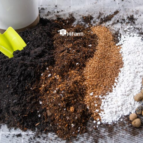 So sánh các loại giá thể hữu cơ ưa dùng hiện nay