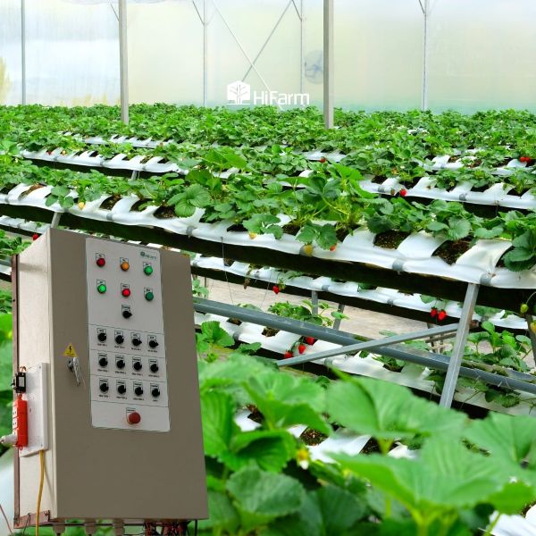 Xu hướng phát triển nông sản sạch trong tương lai