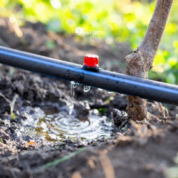 Thiết bị ống nhỏ giọt dùng trong hệ thống tưới tự động