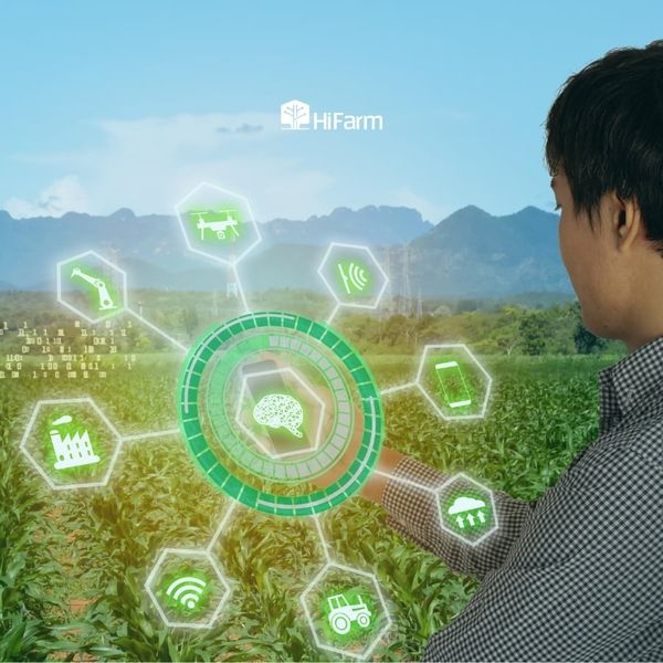 Thực trạng tại Việt Nam