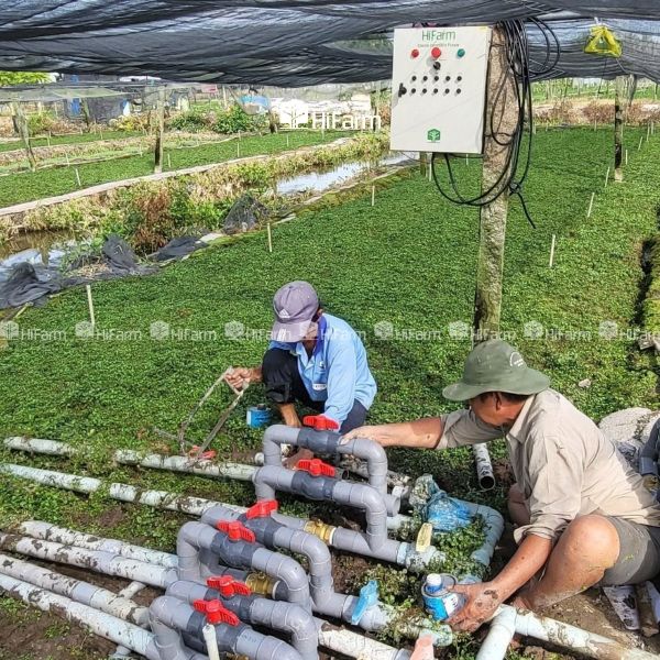 Giải pháp tưới tiêu tự động thông minh đến từ HiFarm