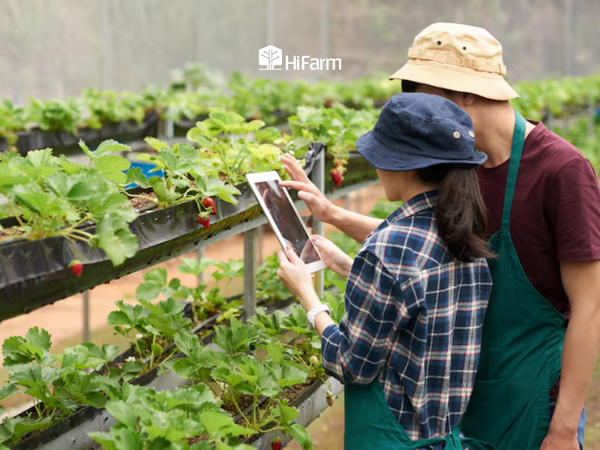 Tối ưu nguồn lực và chi phí