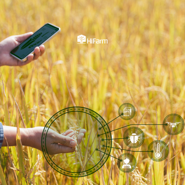 Truy xuất nguồn gốc dùng để làm gì?