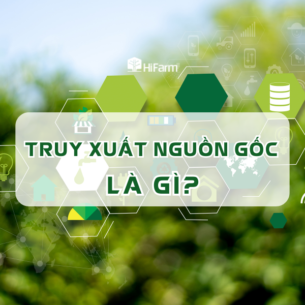 Truy xuất nguồn gốc là gì? Lợi ích chủ doanh nghiệp không nên bỏ lỡ