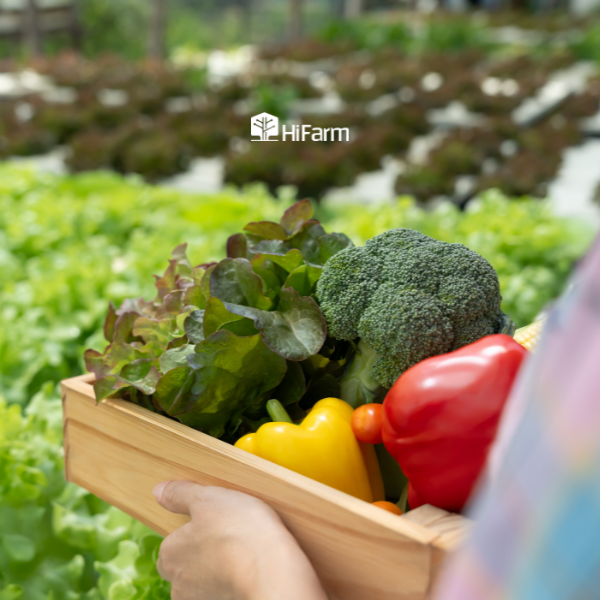 Lợi ích của truy xuất nguồn gốc đối với người tiêu dùng