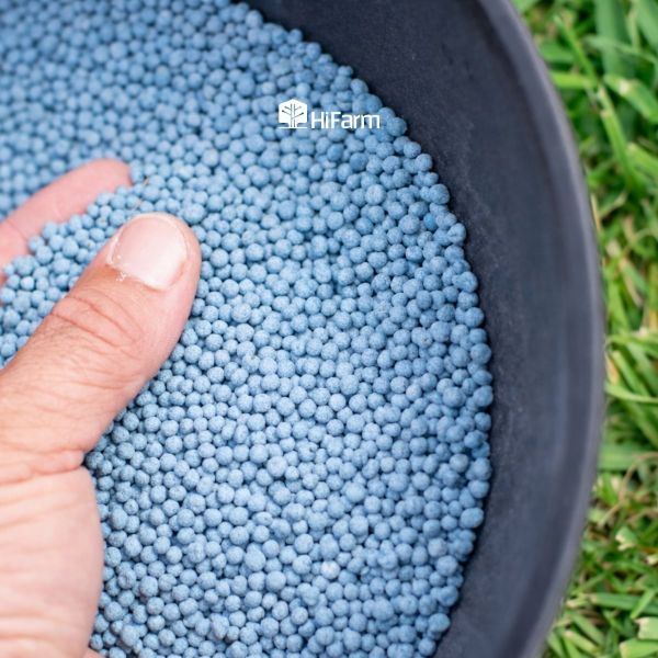 Bảo quản NPK 20-20-15 đúng cách để kéo dài thời gian sử dụng