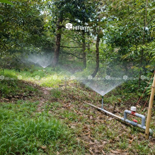 Hệ thống tưới và bón phân tự động cho cây trồng