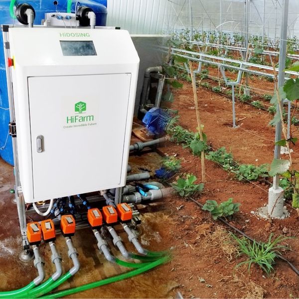 9 loại hình dịch vụ nông nghiệp phổ biến nhất hiện nay