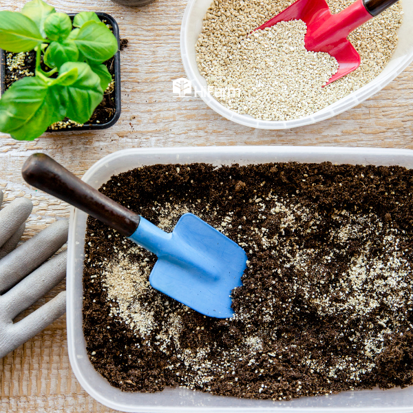 Xử lý và bảo quản giá thể trồng cây đúng cách