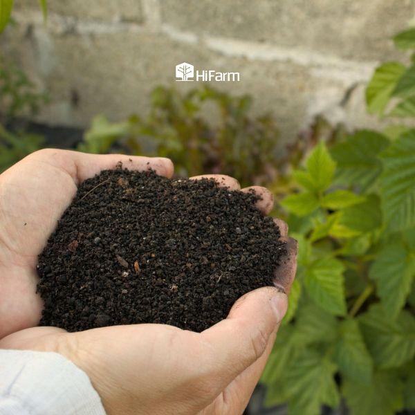 Yêu cầu về đất trồng và giá thể