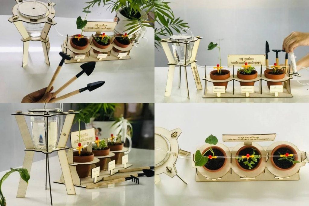 Kinh doanh bộ kit trồng cây tại nhà