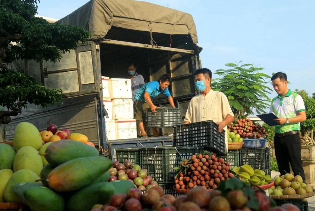 Phương thức vận chuyển hàng nông sản bằng xe tải