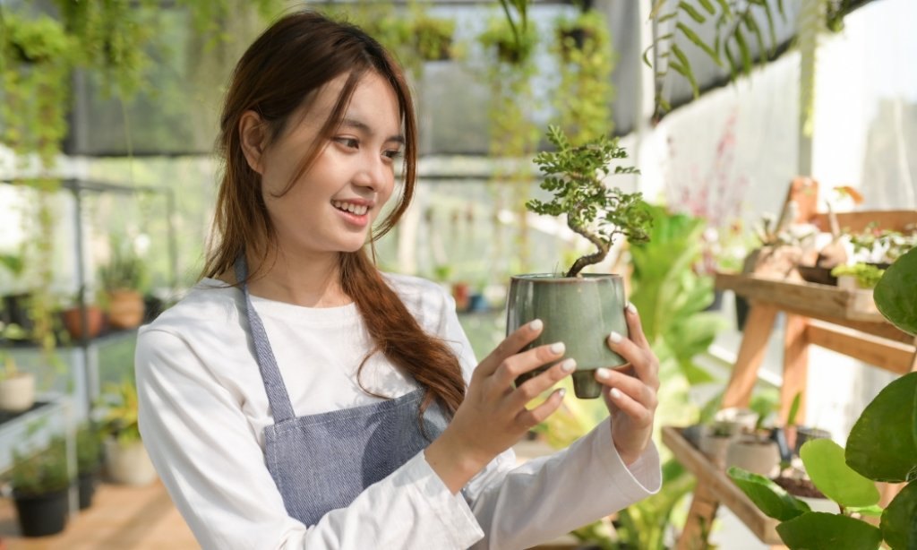 Chọn cây kiểng phù hợp giúp bạn kinh doanh hiệu quả hơn.