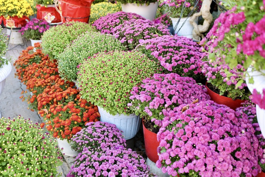 Hình ảnh hoa sắc nét giúp shop thu hút khách hàng online.