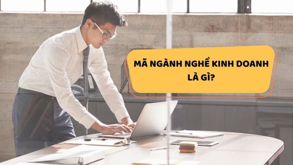 mã ngành nghề là gì