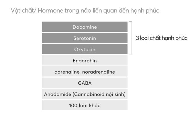 Dopamine, Serotonin, Oxytocin có thể được xem là ba chất quan trọng nhất tạo nên hạnh phúc.