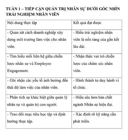 Mẫu nhật ký thực tập