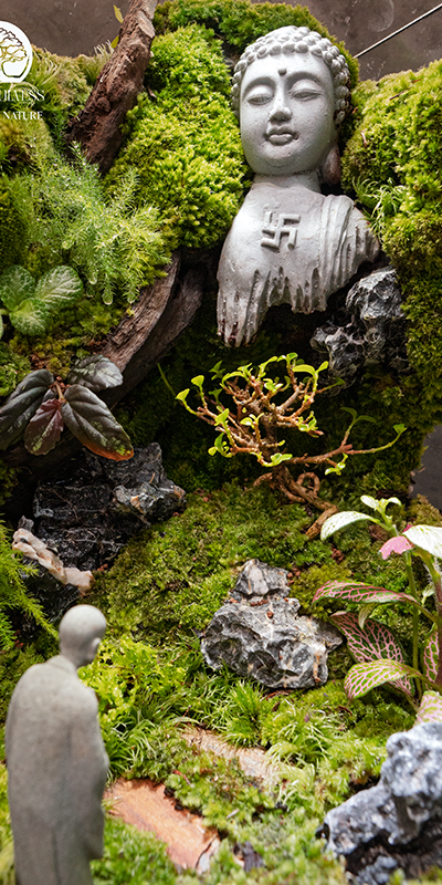 Zen Terrarium