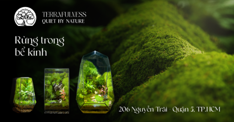 Cửa Hàng Bán Terrarium Và Tranh Rêu HCM | Quà tặng Terrarium – Sản Xuất ...