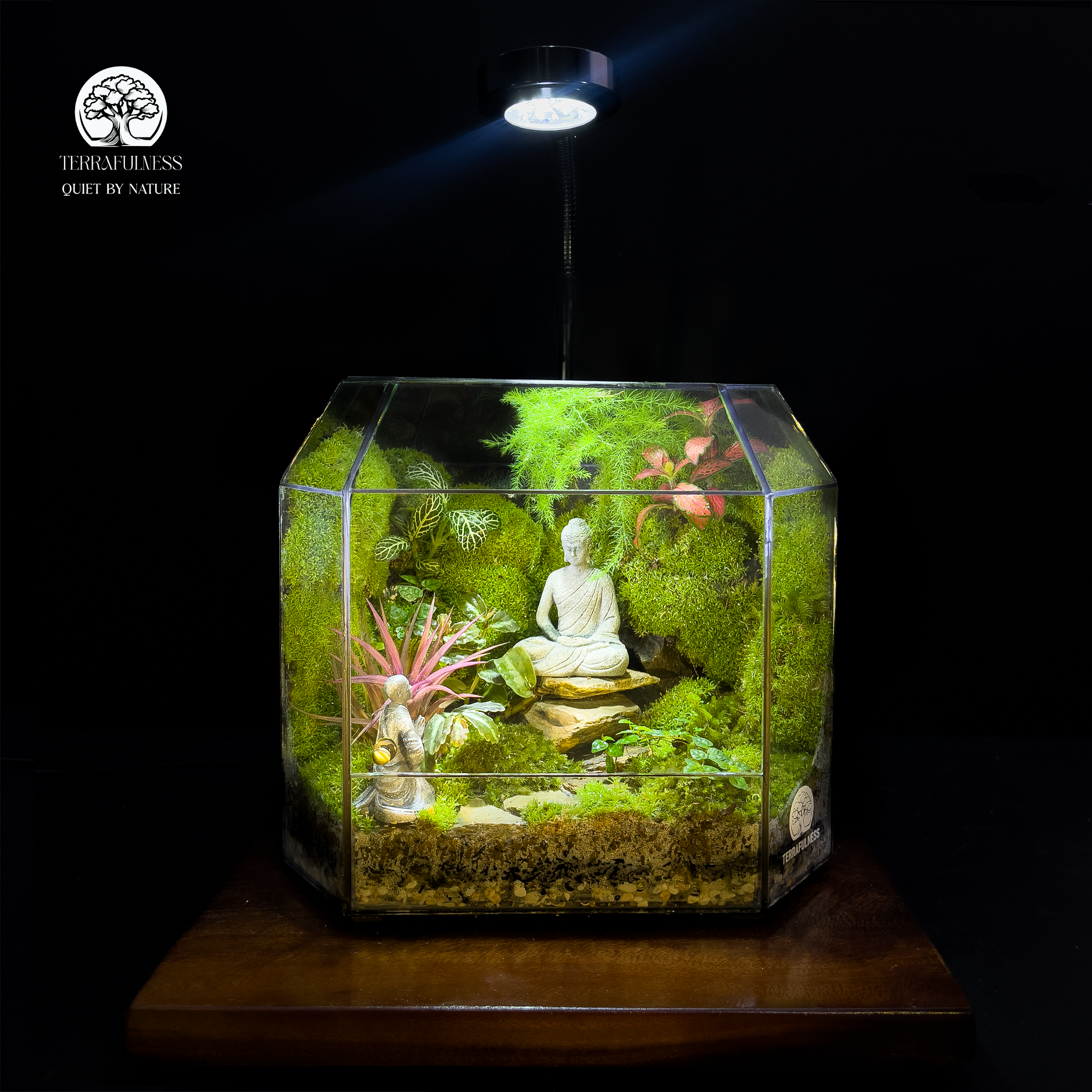 Zen Terrarium