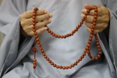 Hình ảnh bài viết