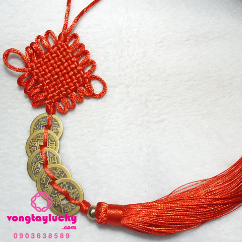 Hình ảnh bài viết