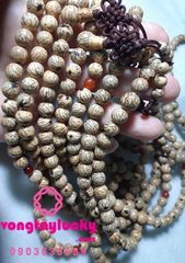 Hình ảnh bài viết