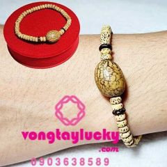 chuỗi bồ đề, chuỗi bồ đề quấn tay, bồ đề thiên nhãn, bồ đề Ấn độ, bồ đề tinh nguyệt, bồ đề tự nhiên
