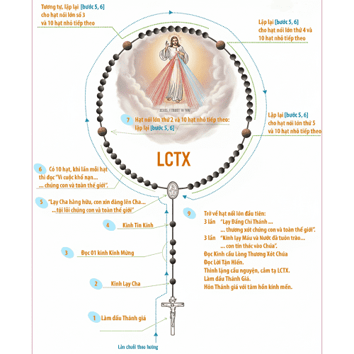 Hình ảnh bài viết