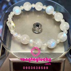 Hình ảnh bài viết