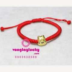 Hình ảnh bài viết