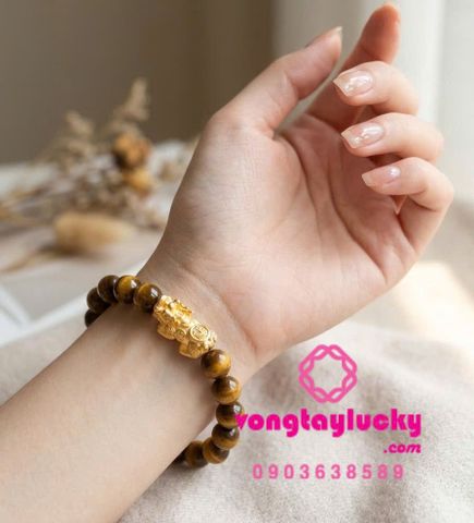 Hình ảnh bài viết