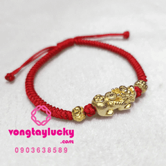 Hình ảnh bài viết