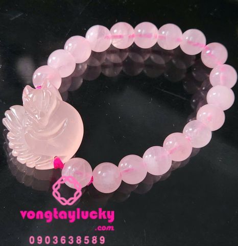 Hình ảnh bài viết