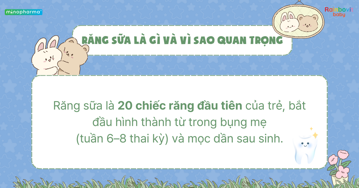 Sự phát triển của răng sữa ở trẻ nhỏ – từ lúc mọc đến khi thay răng