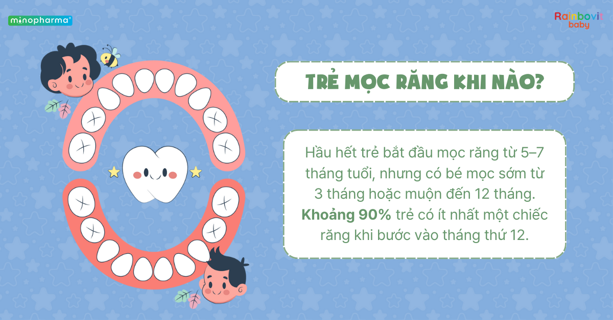 Sự phát triển của răng sữa ở trẻ nhỏ – từ lúc mọc đến khi thay răng