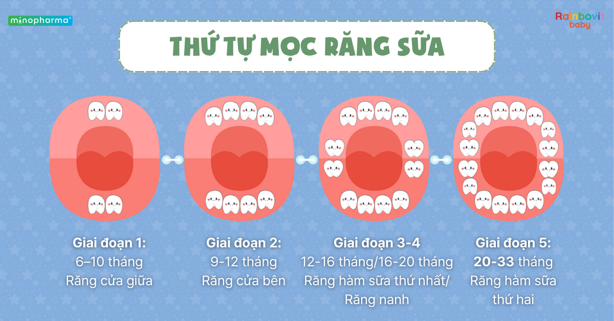 Sự phát triển của răng sữa ở trẻ nhỏ – từ lúc mọc đến khi thay răng