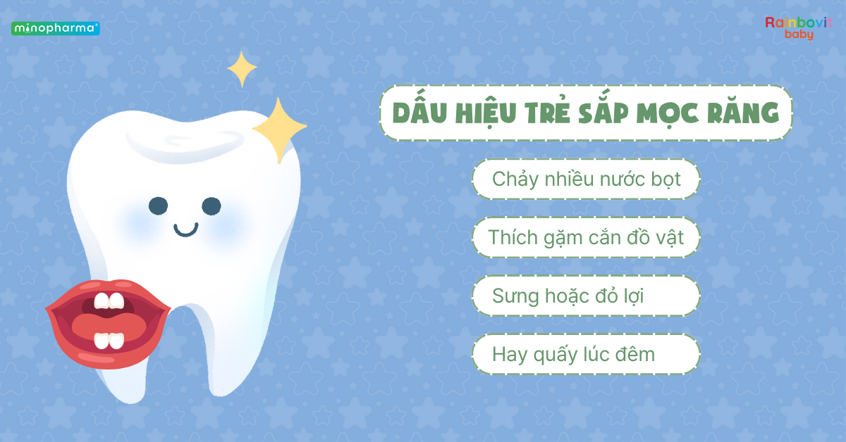 Sự phát triển của răng sữa ở trẻ nhỏ – từ lúc mọc đến khi thay răng