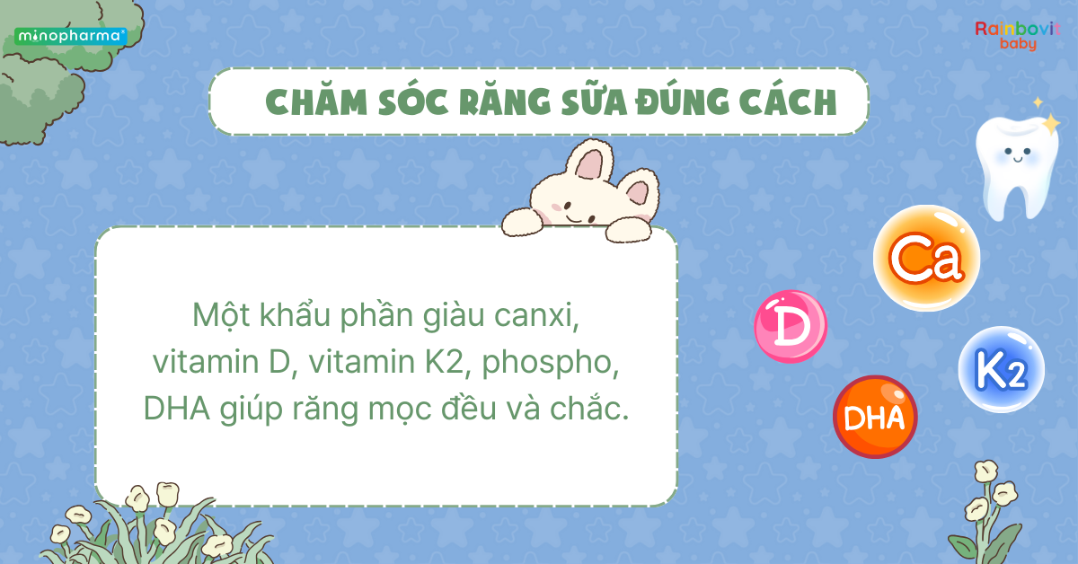 Sự phát triển của răng sữa ở trẻ nhỏ – từ lúc mọc đến khi thay răng