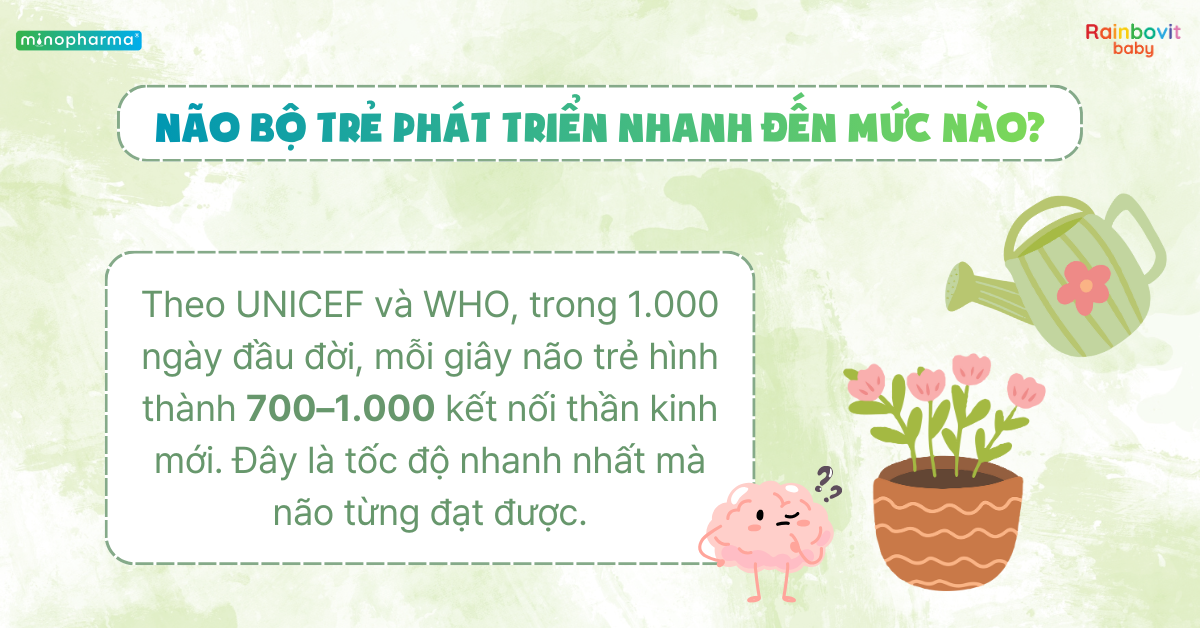 Các giai đoạn phát triển của não bộ trẻ nhỏ – 1.000 ngày đầu đời quyết định tương lai