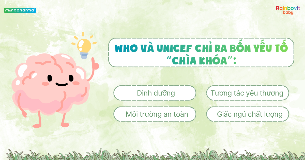 Các giai đoạn phát triển của não bộ trẻ nhỏ – 1.000 ngày đầu đời quyết định tương lai
