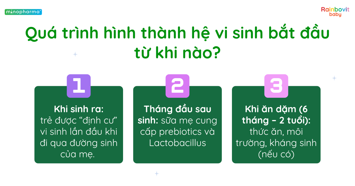Hệ vi sinh đường ruột trong 1000 ngày đầu đời – nền tảng cho sức khỏe cả đời