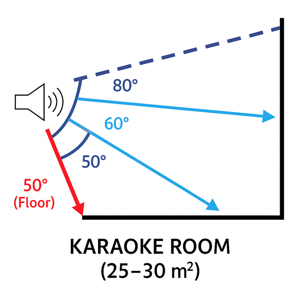 lắp và treo loa karaoke chuyên nghiệp trong phòng hát karaoke