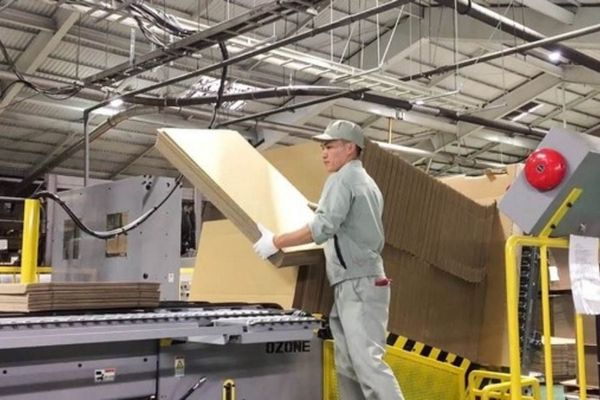 Hộp carton nắp cài