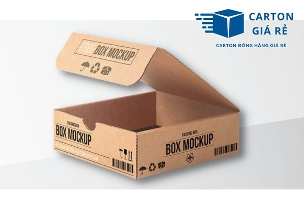 Hộp carton nắp cài