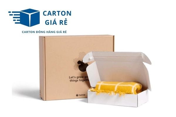 Hộp carton nắp cài