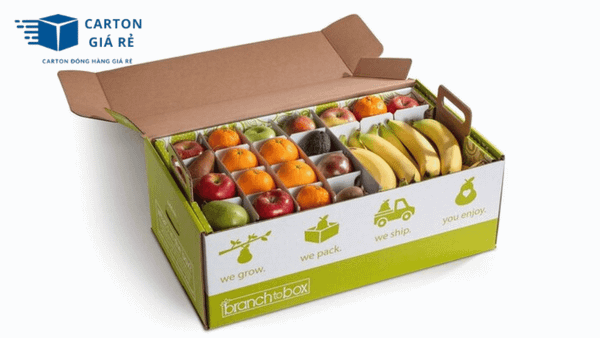 Ứng dụng của Carton