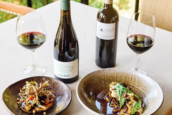 Kết hợp rượu vang cùng món chay