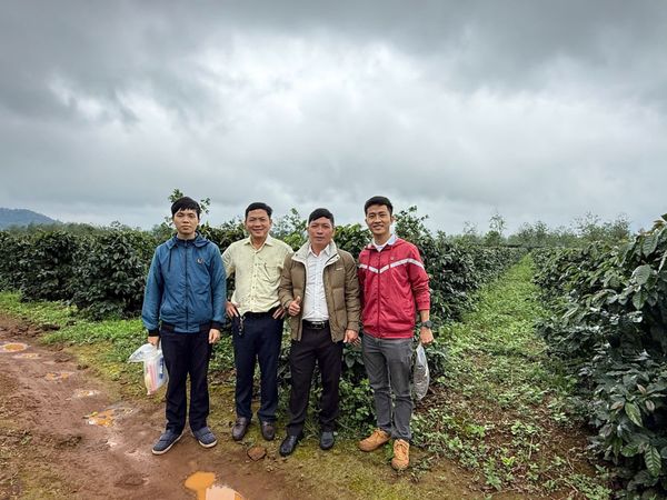 TAVINA Đồng Hành Cùng Phetchampa Thiết Lập Vùng Nguyên Liệu Cà Phê Arabica Đạt Chuẩn Rainforest Alliance Tại Lào