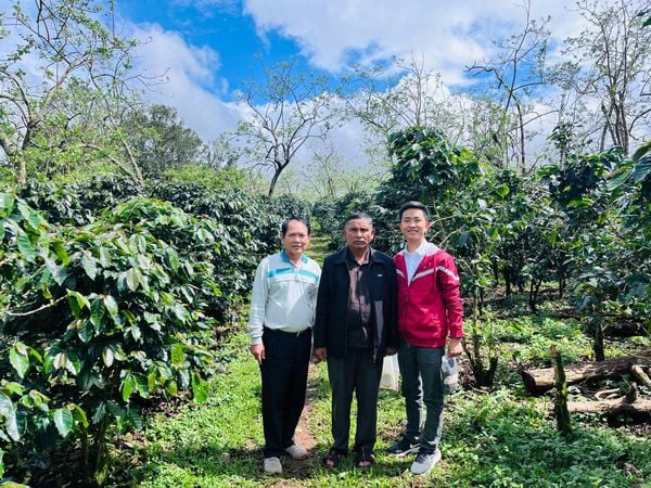 TIẾP NỐI THÀNH CÔNG 2024: TAVINA ĐỒNG HÀNH CÙNG ĐÀO HƯƠNG GROUP MỞ RỘNG VÙNG NGUYÊN LIỆU RAINFOREST ALLIANCE